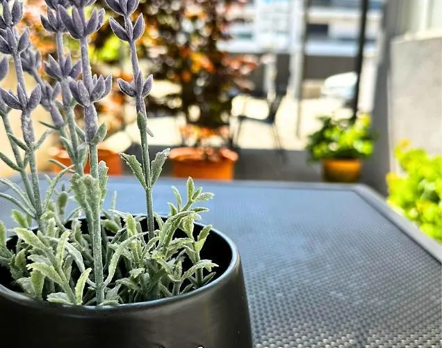 The Martinez House - זאדאר